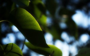 2025年生成式家居设计工具排行推荐